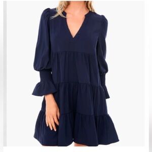 Tuckernuck Pomander Place Navy Poplin Kenzo Dress, size Large